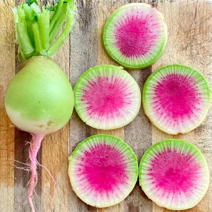 Radis ‘Red Meat’ (Radis Pastèque) Graines