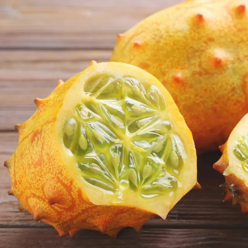 Concombre Kiwano (Cucumis metulifer) Graines