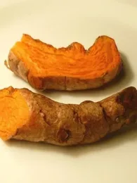 Curcuma, Safran des Indes (Curcuma longa) Plant