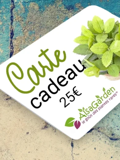 Carte Cadeau Alsagarden 25€