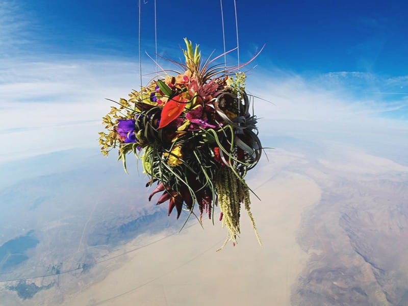 EXOBIOTANICA −BOTANICAL SPACE FLIGHT (1)
