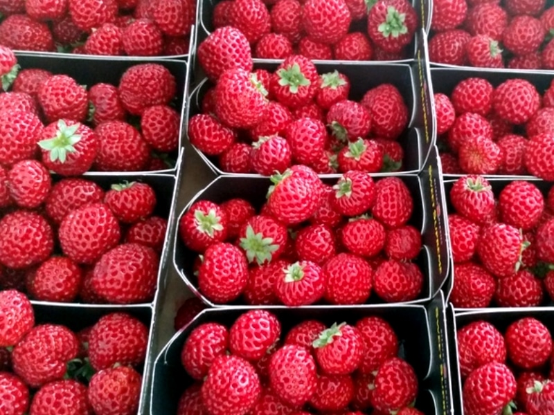 Fraise-framboise