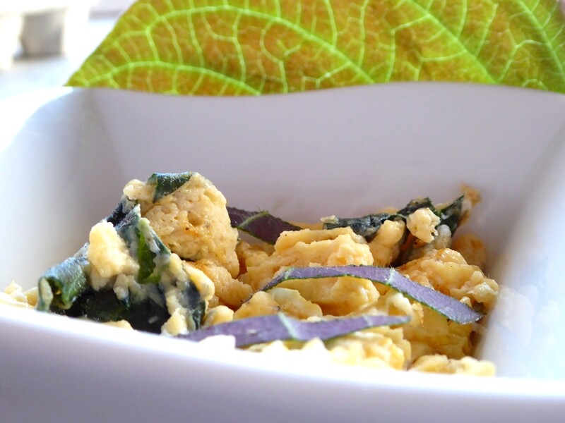 Oeufs brouillés plante fromage - Photo : alsa-garden.live