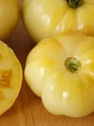 Tomate 'Beauté Blanche' (Variété précoce) Graines