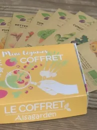Coffret Mini Légumes (10 variétés miniatures)