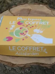Coffret Mini Légumes (10 variétés miniatures)