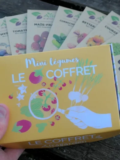 Coffret Mini Légumes (10 variétés miniatures)