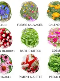 Faire-part de remerciement à semer (Couronne de fleurs)