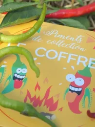 Coffret Piments de Collection (6 Variétés pour Sauces piquantes)