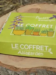 Coffret Plantes aromatiques (Assortiment 10 variétés condimentaires)