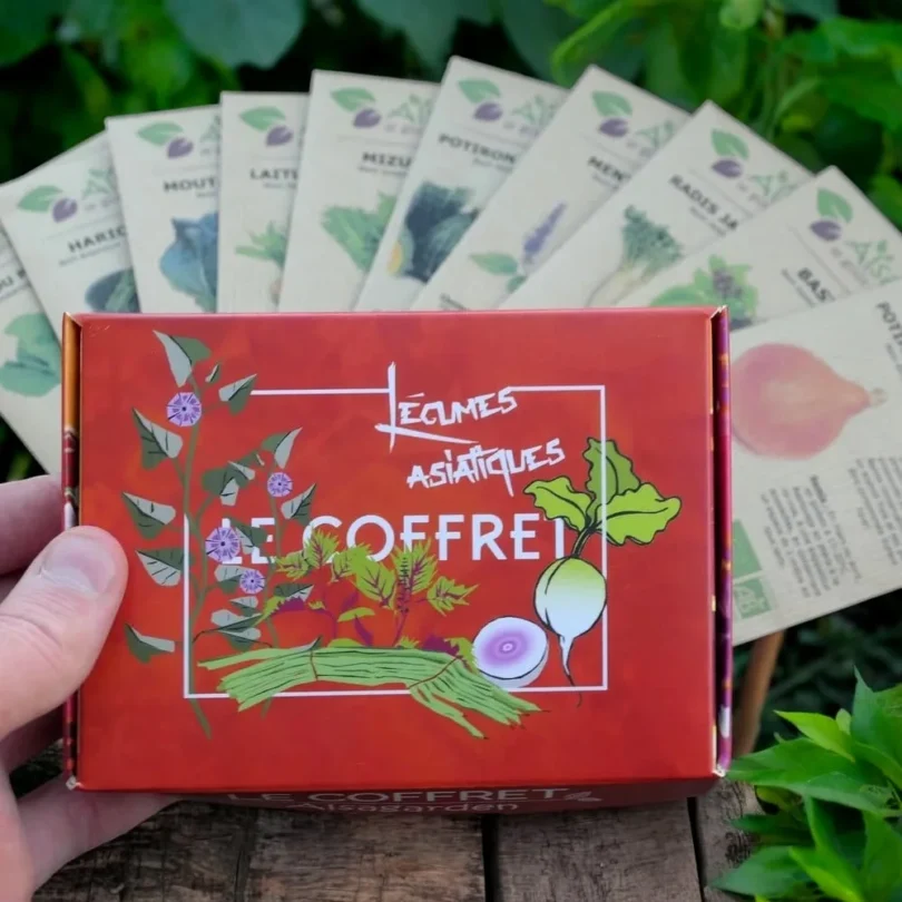 Coffret Légumes asiatiques (10 variétés originales)