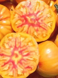 Tomate 'German Gold' (Variété ancienne) Graines