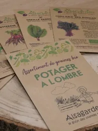 Assortiment Potager à l'ombre (5 Variétés de graines BIO)