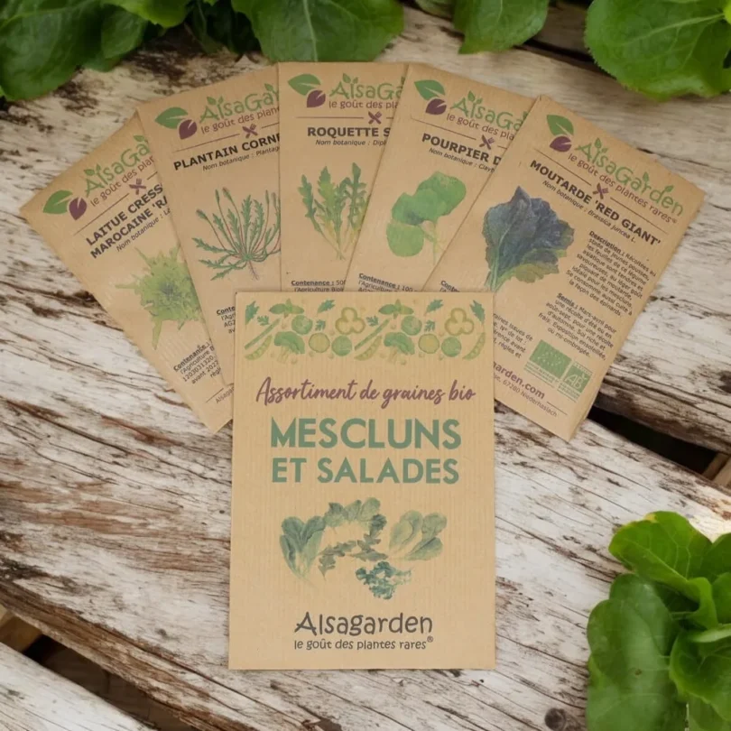 Assortiment Mescluns et salades (5 Variétés de graines BIO)