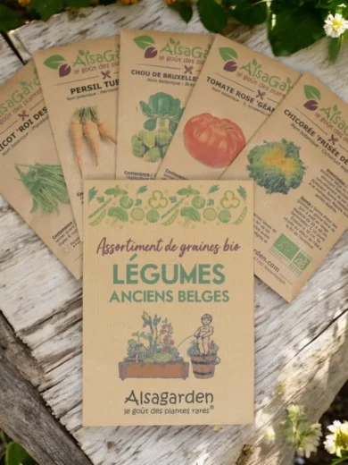 Assortiment Légumes anciens Belges (5 Variétés de graines BIO)
