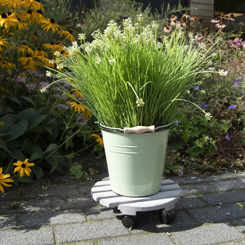 Plateau roulant rond pour plantes (diamètre 28.5 cm)