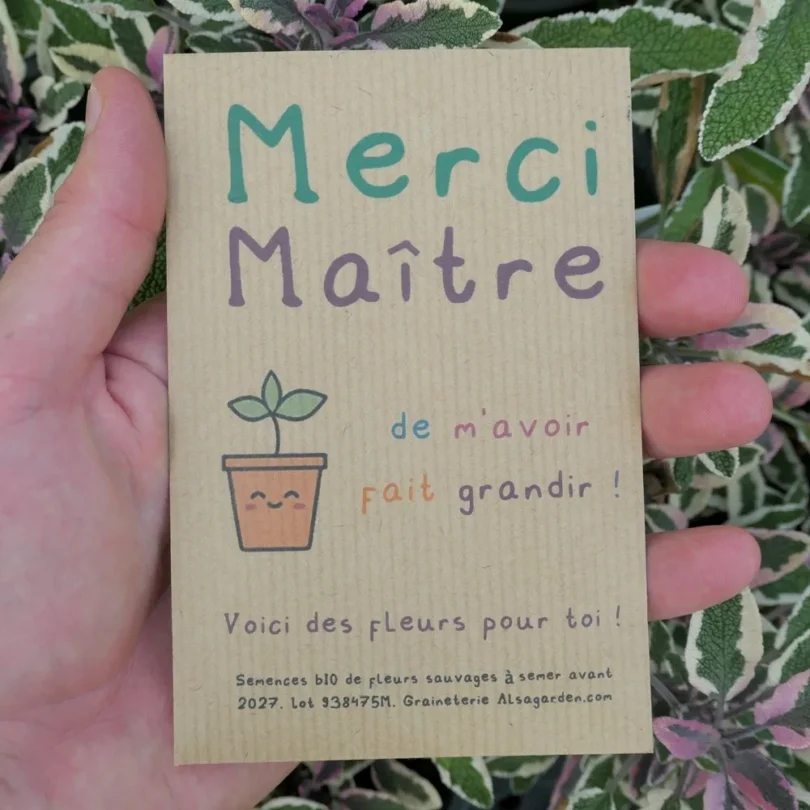 Carte de vœux à semer “Merci Maître” (Jeune pousse) – Graines de Fleurs sauvages