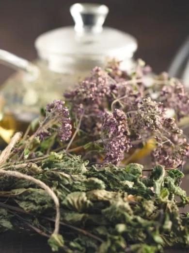 Atelier : Les tisanes détox de printemps (1h30)