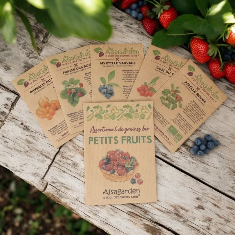 Assortiment Petits Fruits (5 Variétés de graines BIO)