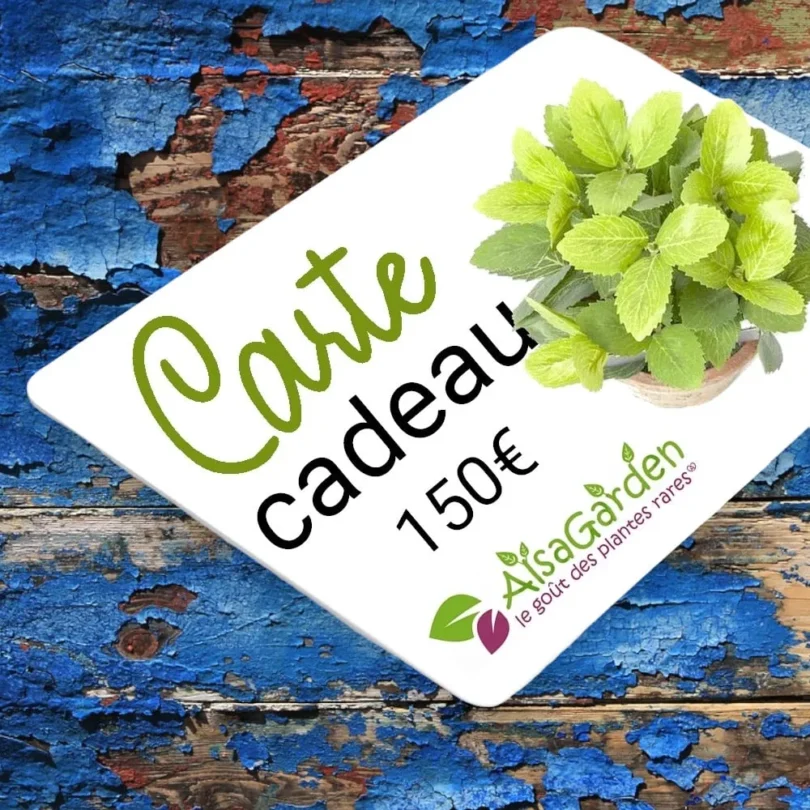 Carte Cadeau Alsagarden 150€