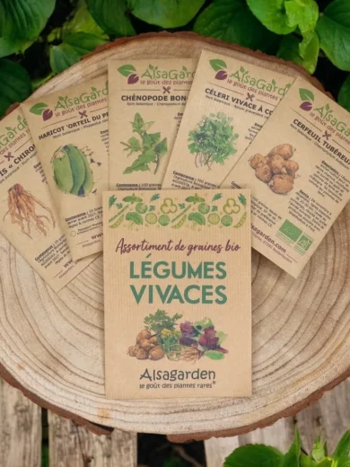 Assortiment Légumes Vivaces (5 Variétés de graines BIO)