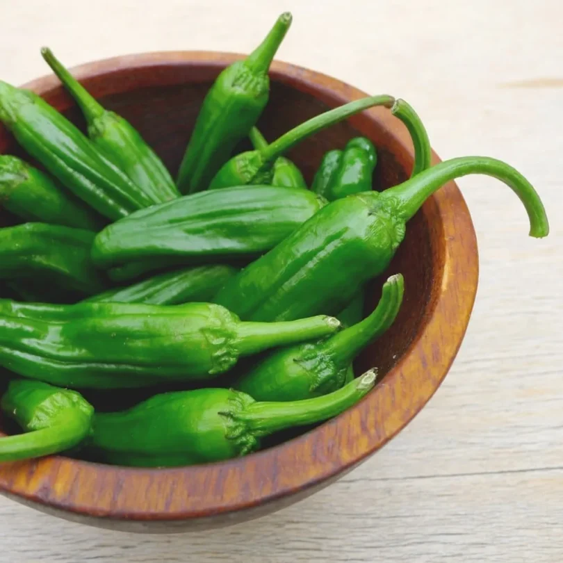 Piment ‘Padrón’ (Variété ancienne Espagnole) Graines