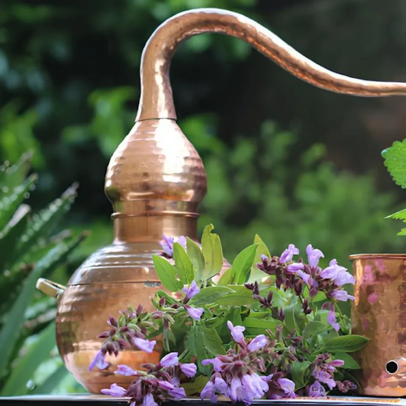 Atelier : Initiation à la distillation des plantes aromatiques (2h00)
