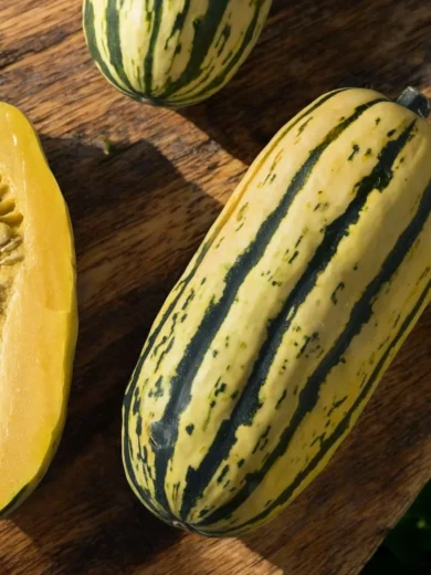 Courge 'Delicata' (Variété ancienne) Graines