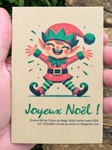 Carte de vœux à semer "Joyeux Noël" (Lutin) - Graines de 'Flocon de Neige'