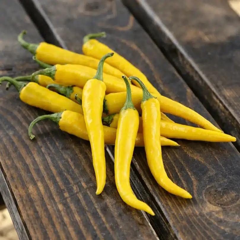Piment ‘Cayenne Jaune’ (Variété Rare) Graines