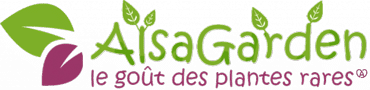 Alsagarden - Accueil