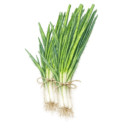 Légumes perpétuels