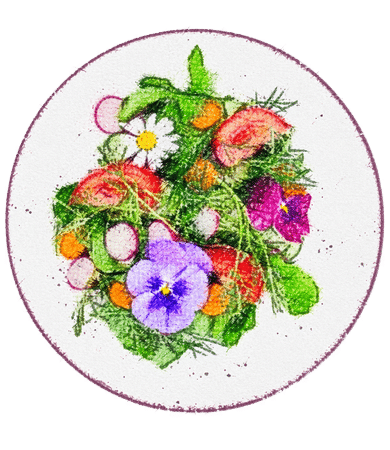Plantes aromatiques