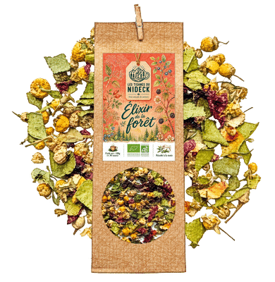 Tisanes & Infusions
